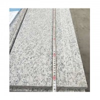 Factory supplied stone white granite g602 chinese small slab